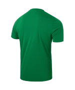 Футболка вратарская DIVISION PerFormDRY SPLASH GK Jersey, зеленый