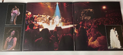 Винтажная виниловая пластинка LP Donna Summer Live And More (Германия 1978)