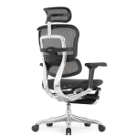 Кресло FALTO Ergohuman Elite 2 с подножкой ( чёрный каркас /сетка чёрный T-168-B1 Black )