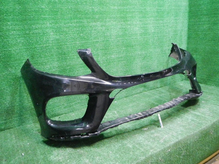 DSCN4236.JPG