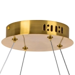 Подвесная светодиодная люстра Lightstar VIDARE 699063