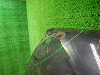 DSCN2190.JPG