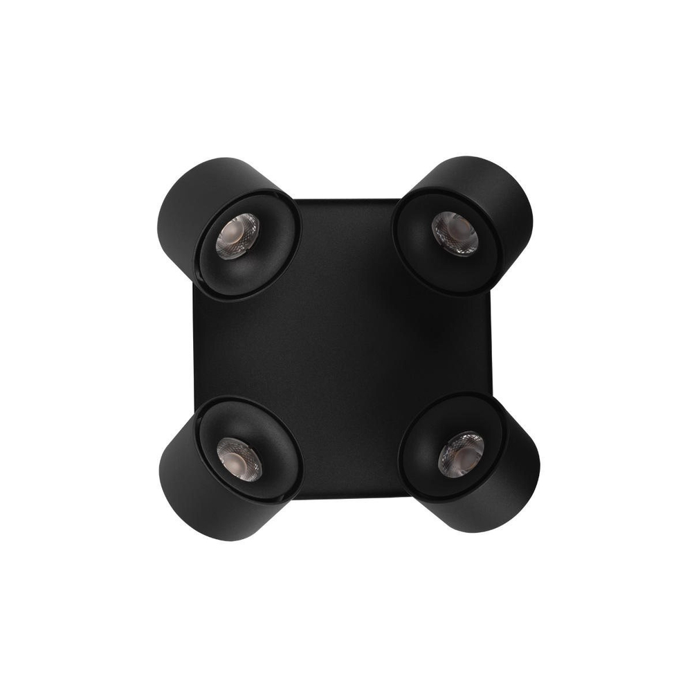 Потолочный светодиодный светильник Loft It Case 10326 Black