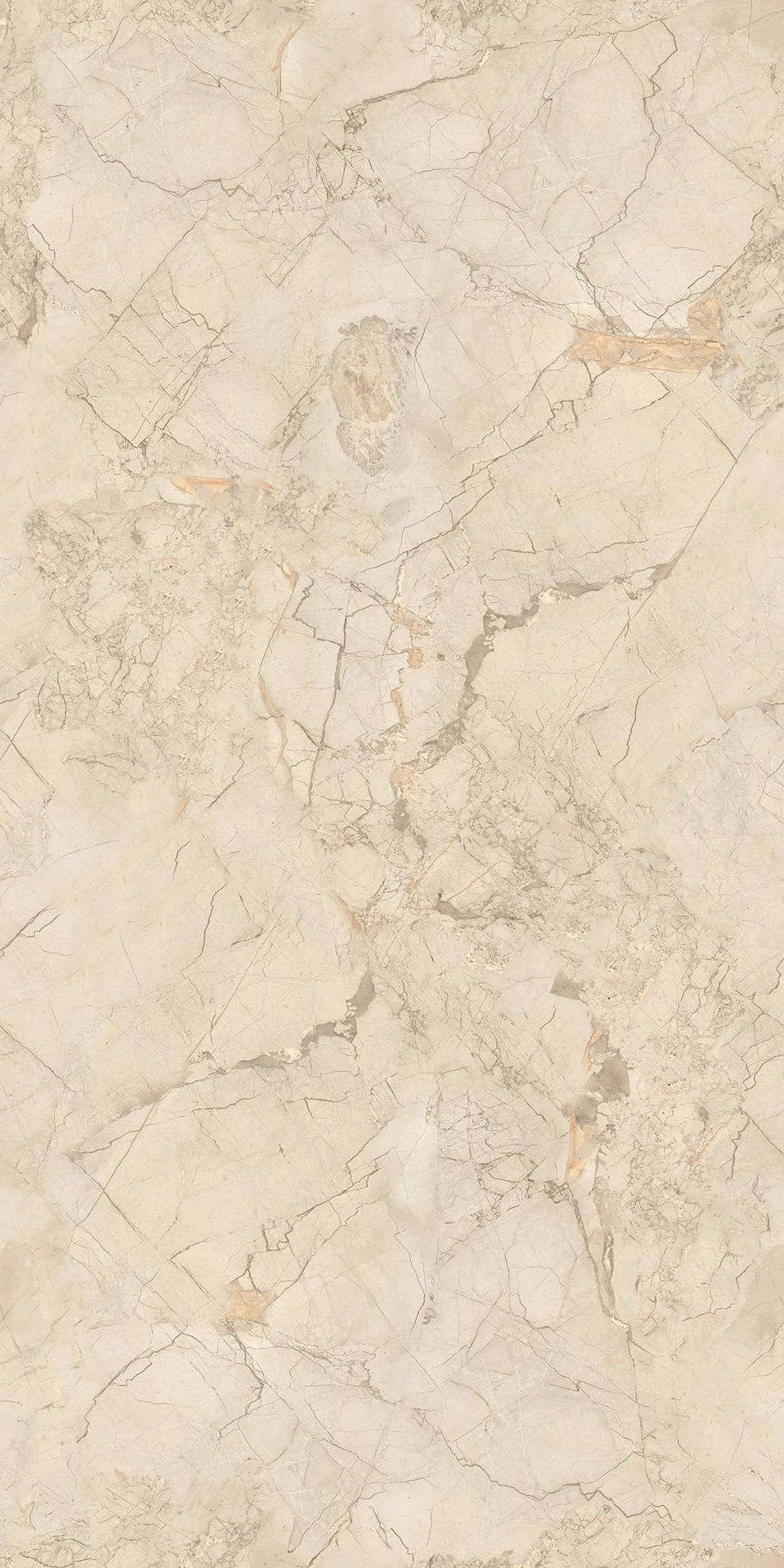 NT Ceramic Marmo Ivory Endless 60x120