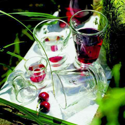 Рюмка La Rochere 607901