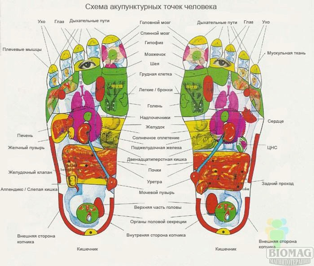 Магнитные стельки