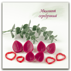 силиконовый вайнер эвкалипт