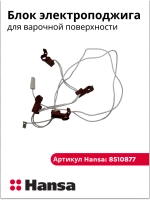 Блок кнопок электроподжига для газовой варочной поверхности Hansa 8510877