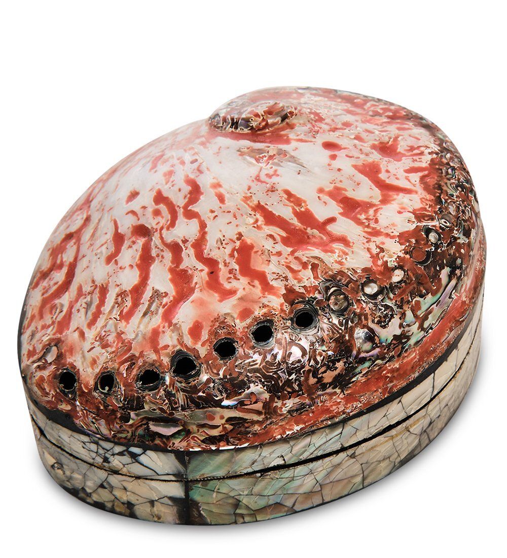 Decor and Gift 54-014 Декоративная шкатулка «Ракушка»