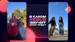 «Рилсология»