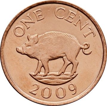 1 цент 2009 Бермуды. Дикий кабан