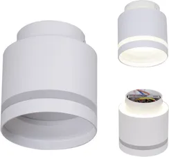 Точечный светильник  53001-9.5-001IL GX53+LED3W WT Reluce