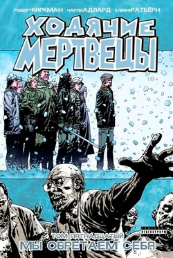 Ходячие мертвецы. Книга 15 (Б/У)
