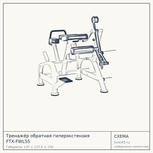 Тренажёр обратная гиперэкстензия FTX-FWL55 — от 179 000 ₽