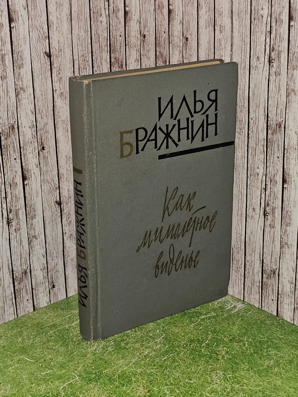 Как мимолетное виденье. Бражнин Илья Яковлевич