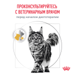 Royal Canin Urinary S/O Уринари С/О Корм сухой диета для взрослых кошек при мочекаменной болезни 7кг