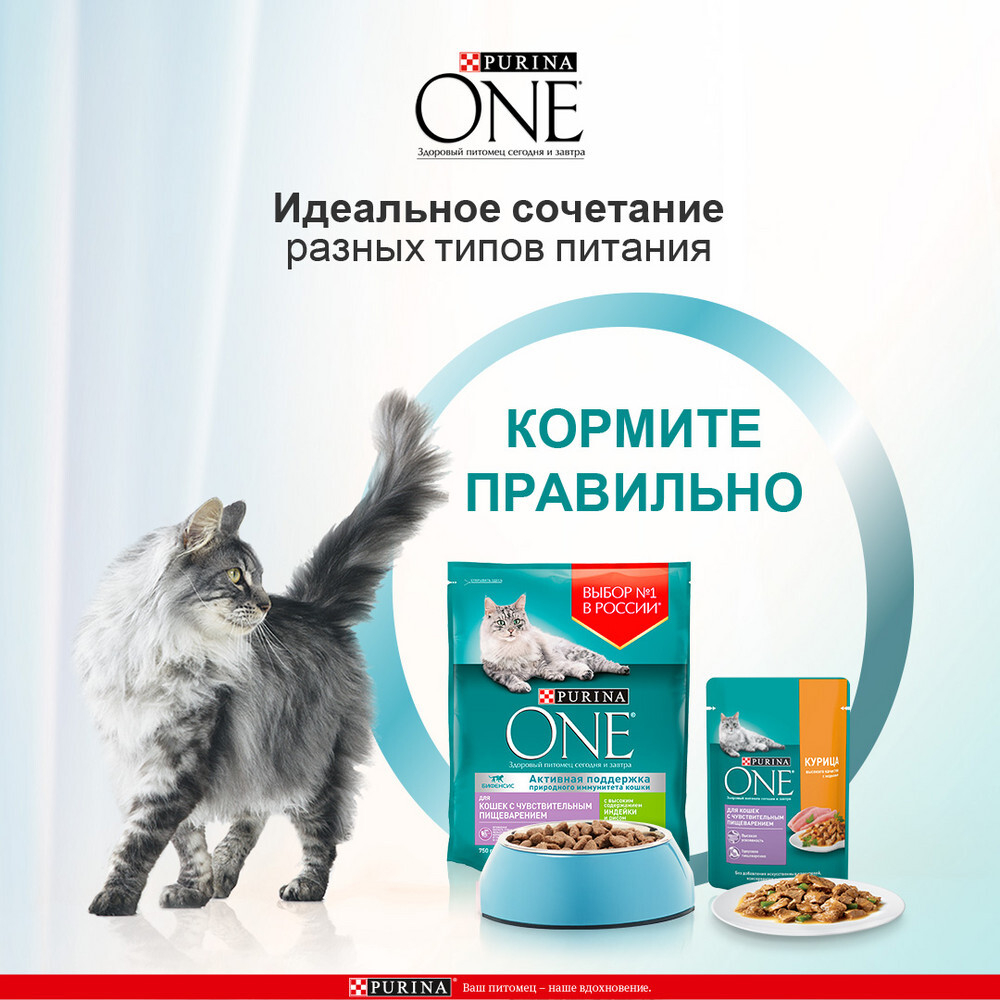 Курица с морковью, влажный корм для кошек с чувствительным пищеварением Purina ONE 75г