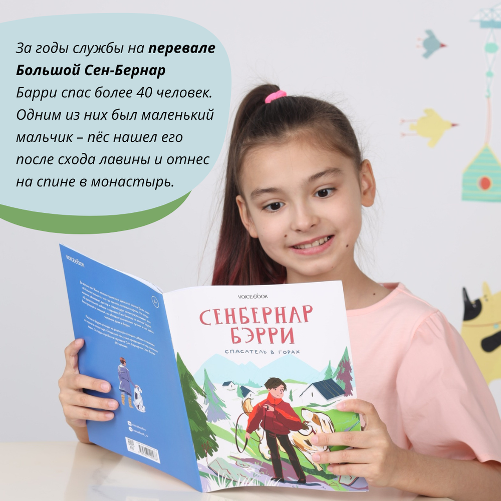Сенбернар Бэрри. Спасатель в горах