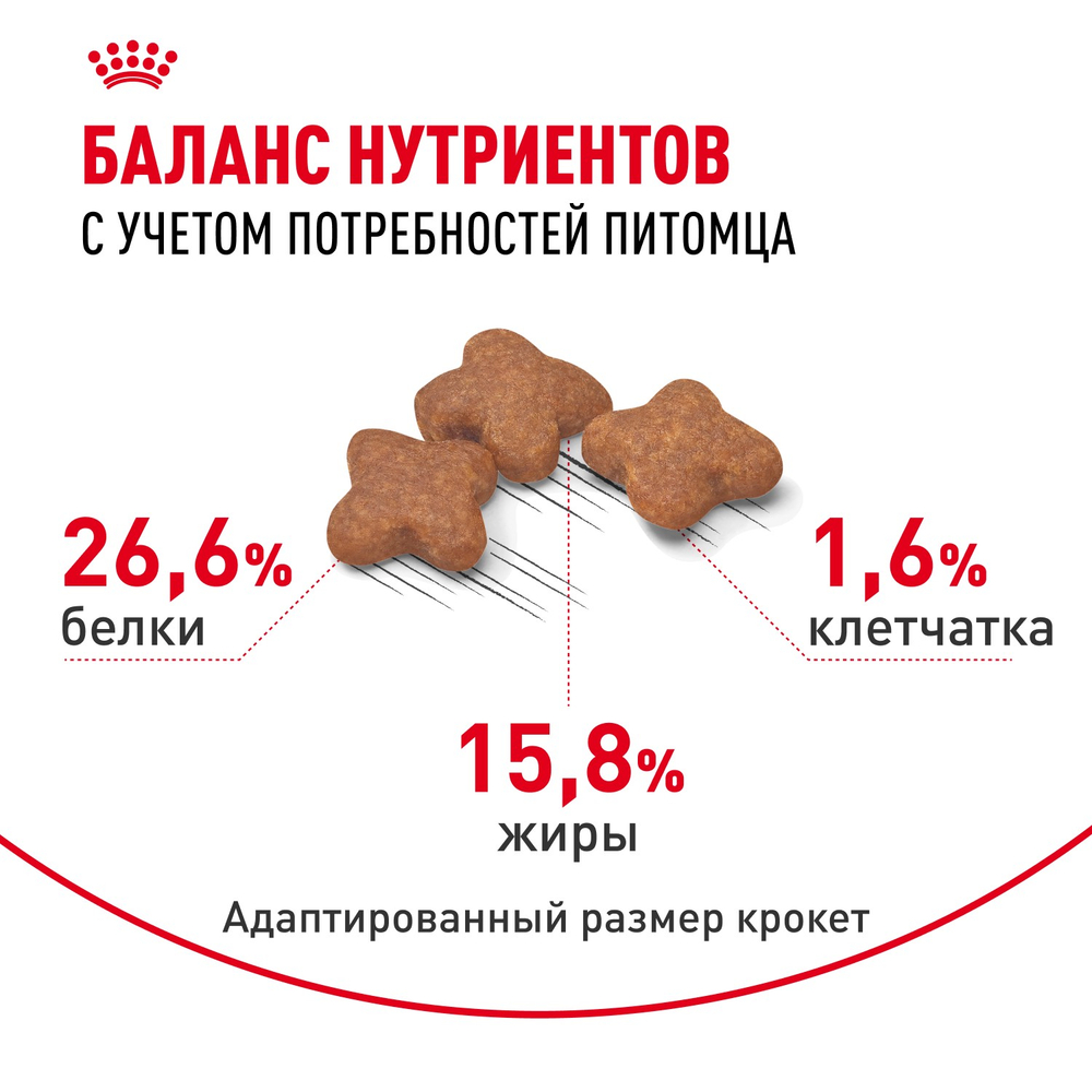 Royal Canin Mini Adult 8+ Мини Эдалт Корм сухой для взрослых собак мелких пород старше 8 лет 4кг