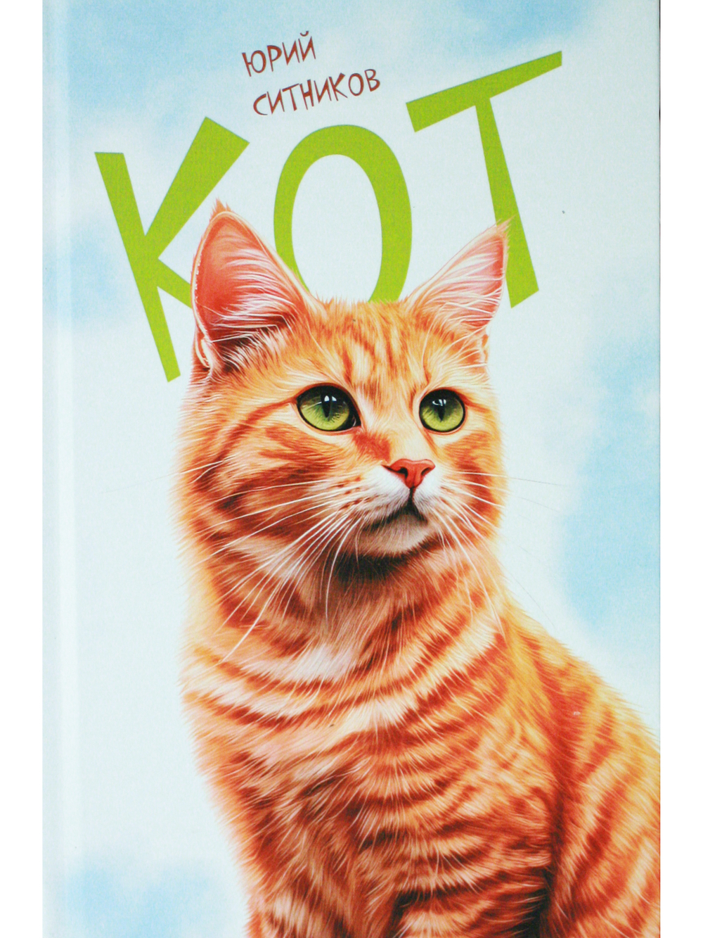 Кот