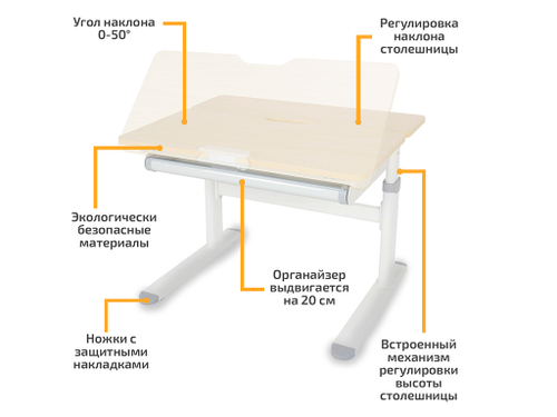 Растущая парта Ergokids Compas TH-308 Lite (800×600 мм)