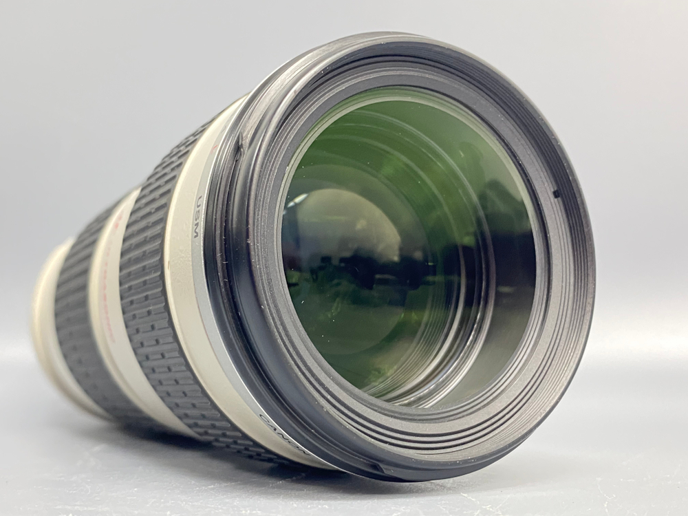 Canon EF 70-200mm 4L USM
