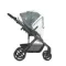Коляска ANEX Modu 2 в 1 Greeny