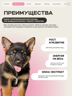 Корм сухой для щенков породы Немецкая овчарка, с говядиной, 3 кг, QUATTRO