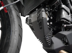 Evotech Performance Защита двигателя (ДВС) Ducati Multistrada V2  PRN014575