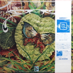 Spyro Gyra / Morning Dance (LP)
