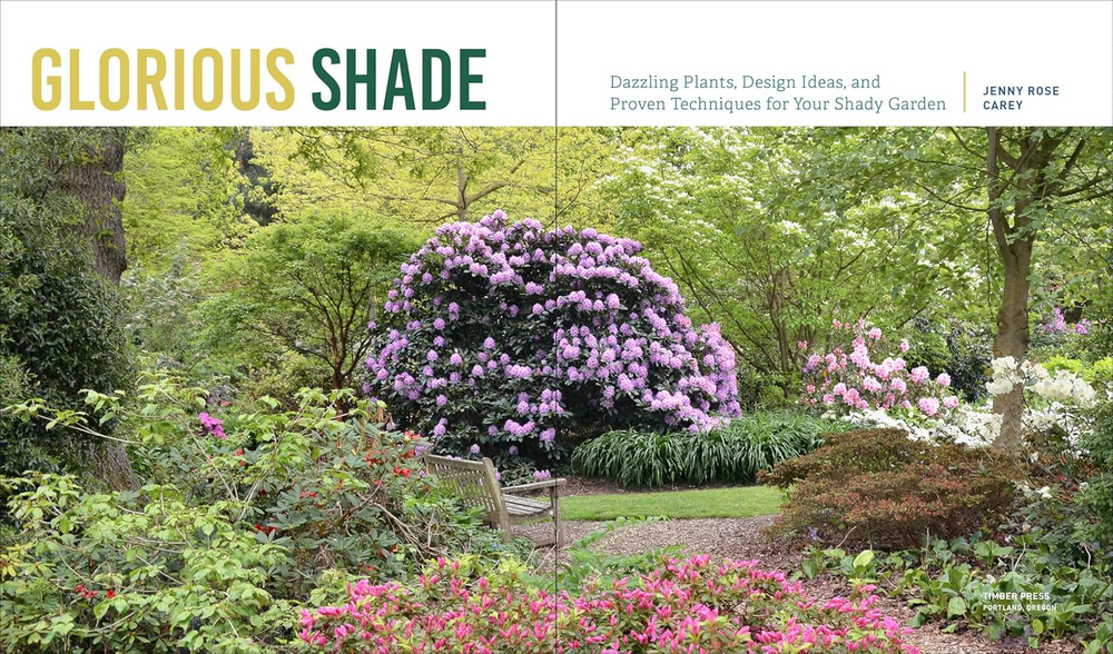 Glorious Shade