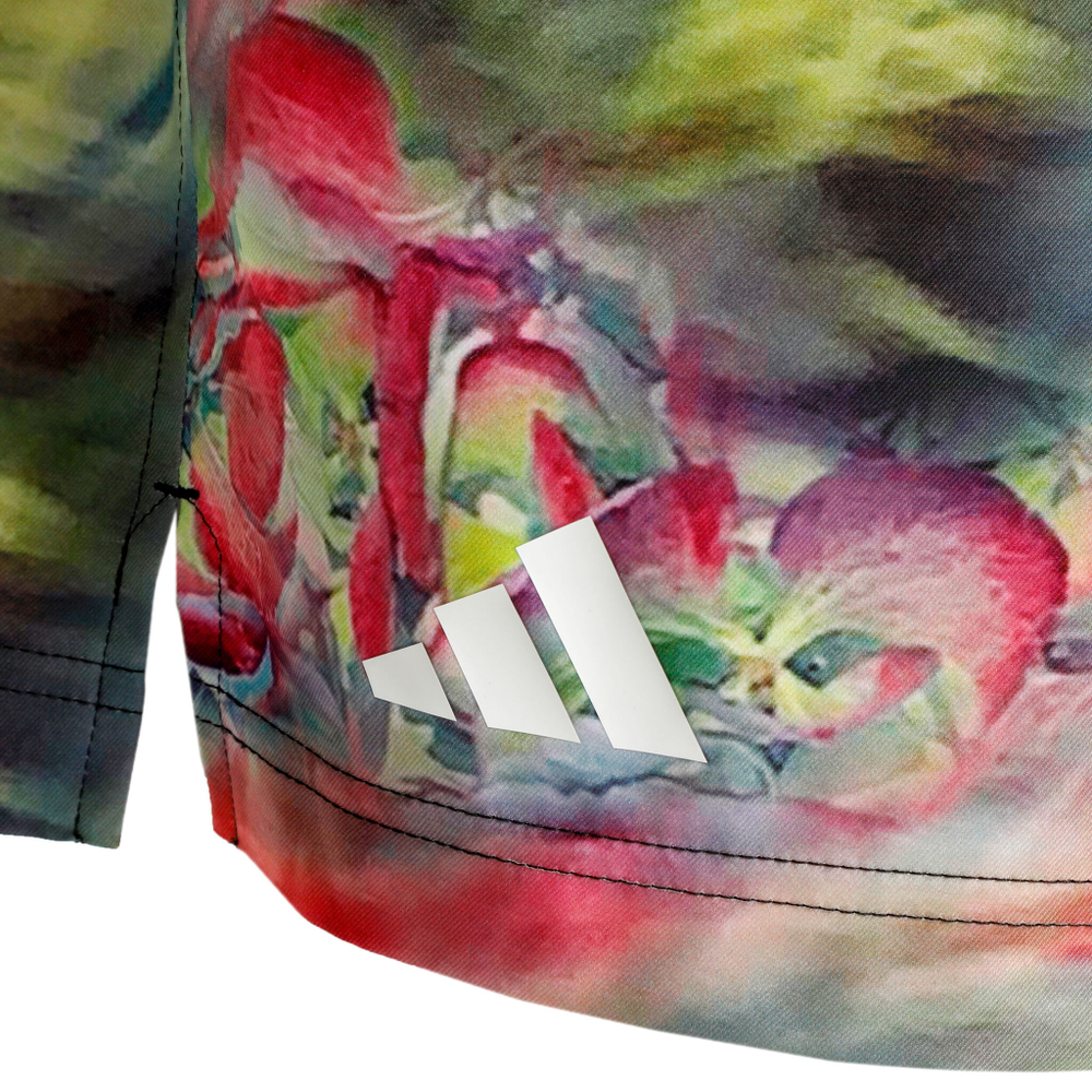Мужские теннисные шорты adidas Melbourne Ergo Graphic Shorts Men - Multicoloured