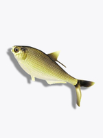 Мягкая приманка B.A.M.F. Shad 8"/ Gold Retriver (1шт./уп.)