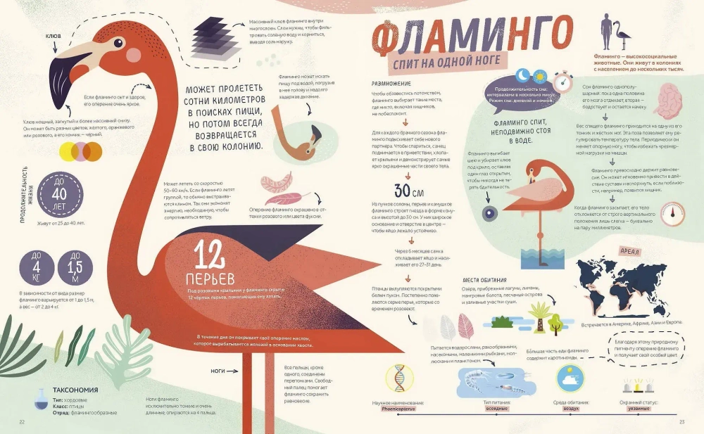 Как спит пчела?