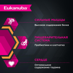 Eukanuba Adult Top Condition влажный рацион из курицы в соусе для взрослых кошек 85г