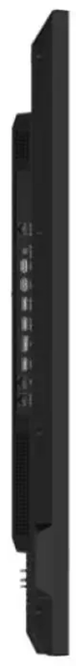 Панель Hisense 55DM66D