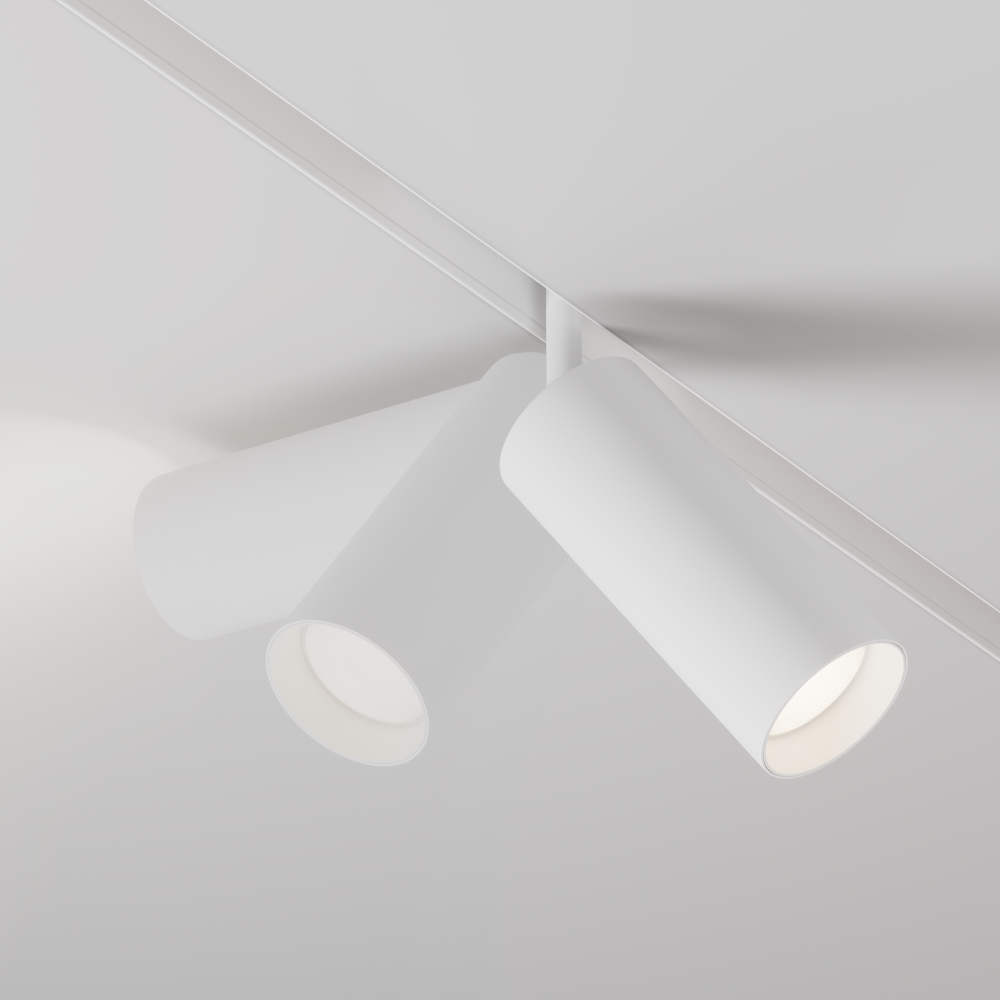 Магнитный трековый светильник Maytoni EXILITY 23мм Focus LED TR032-4-20WTW-M-DD2-W