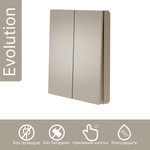 Беспроводной выключатель GRITT Evolution 2кл. золотистый комплект: 1 выкл. IP67, 1 реле 1000Вт, EV221201G