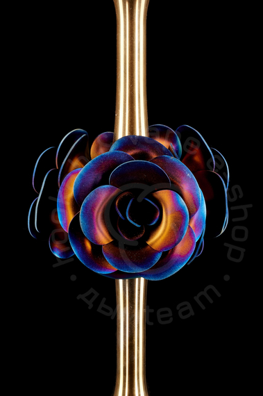 MAKLAUD ROSE GOLD