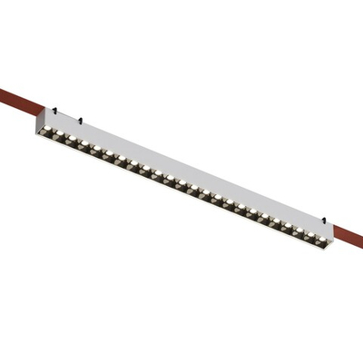 Накладной светильник Denkirs BELTY GRILL DK5572-WB