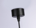 Подвесной светильник Ambrella Light TN TN71109