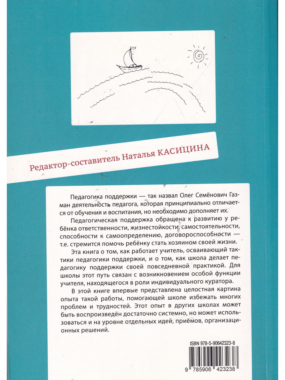Педагогическая поддержка в школе и система работы индивидуальных кураторов