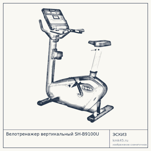 Велотренажер вертикальный SH-B9100U — от 198 000 ₽