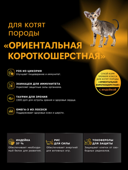 Корм сухой для котят породы Ориентальная короткошёрстная, с индейкой, 400 гр, QUATTRO