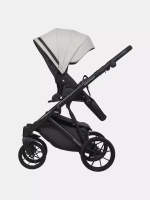 Коляска MONTANA ECCO (2 в 1) (RIKO BASIC)