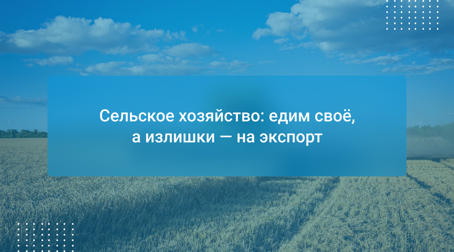 Сельское хозяйство: едим своё, а излишки — на экспорт