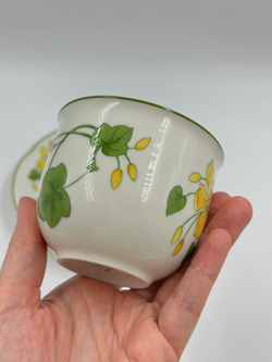 Чайная пара Villeroy & Boch, Geranium