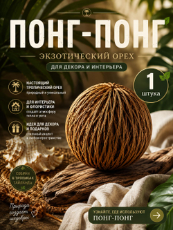 Понг-понг плод Церберы орех 1 штука