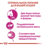 Корм сухой, 400г для очень привередливых кошек Royal Canin Экзиджент Севор