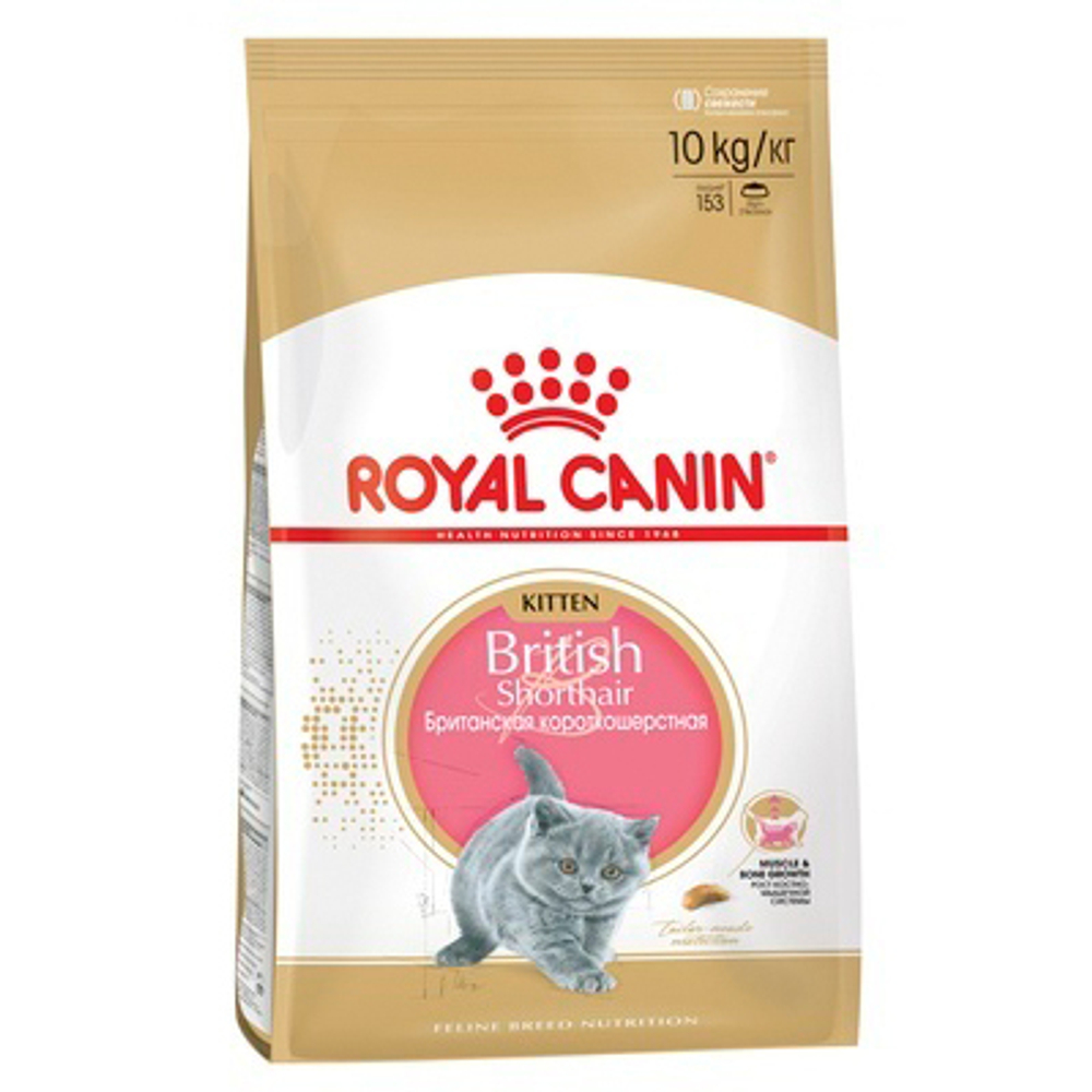 Royal Canin Kitten Британская короткошерстная